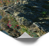 チャンネル諸島国立公園（南部） ポスター (角)