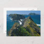 チャンネル諸島国立公園(南部) ポストカード (正面/裏面)