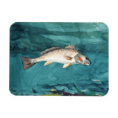 チャンネル・ベース・フィッシュ・ア絵画メリカのby Homer マグネット (横)