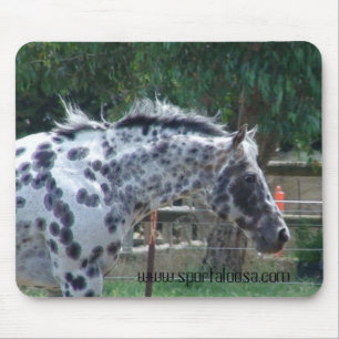 チャンピオンの制止の種馬 マウスパッド