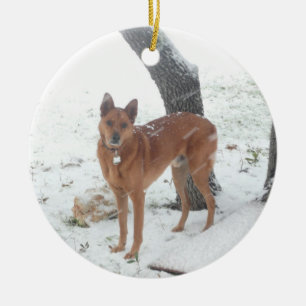 チャンピオンを記念してクリスマスのコレクション セラミックオーナメント