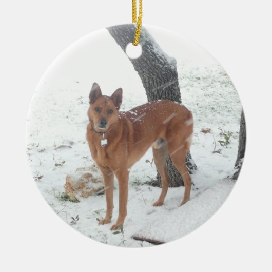 チャンピオンを記念してクリスマスのコレクション セラミックオーナメント (正面)