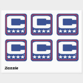 チャンピオンパッチ – BUFブルーステッカー スクエアシール (シート)