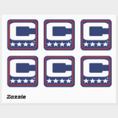 チャンピオンパッチ – NYGブルーステッカー スクエアシール (シート)