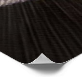 チャンピオンプリント ポスター (角)