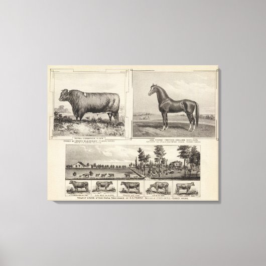 チャンピ王室のオン、カンザス州ジョー・ヤング キャンバスプリント (正面)