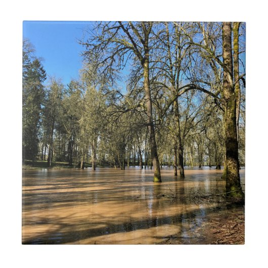 チャンポー州パーク、セントポールOR タイル (正面)