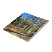 チャンポー州パーク、セントポールOR タイル (側面)