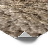 チャンマイエレファントアイ ポスター (角)