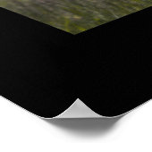 チャータークパーク – コロラド州大きい石 ポスター (角)