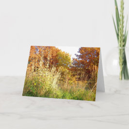 チャーターOak Park、Peoria、ILの紅葉 カード