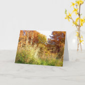 チャーターOak Park、Peoria、ILの紅葉 カード (黄色い花)