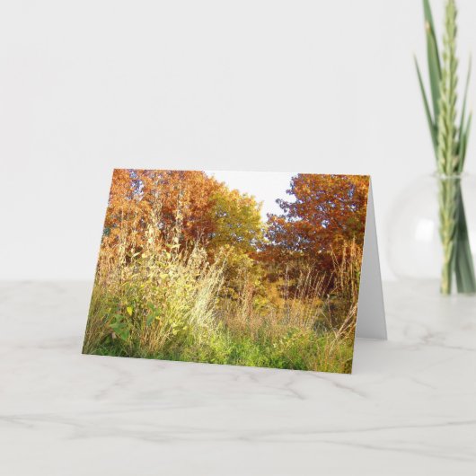 チャーターOak Park、Peoria、ILの紅葉 カード (正面)