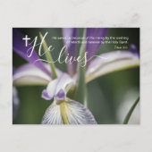 チャーチイースター招待状 ポストカード (正面)