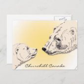 チャーチル・カナダポストカードPolar Bear Art Card ポストカード (正面/裏面)