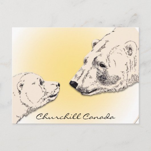チャーチル・カナダポストカードPolar Bear Art Card ポストカード (正面)