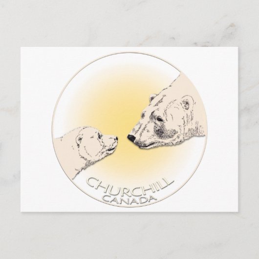 チャーチル・カナダポストカードPolar Bear Art Card ポストカード (正面)