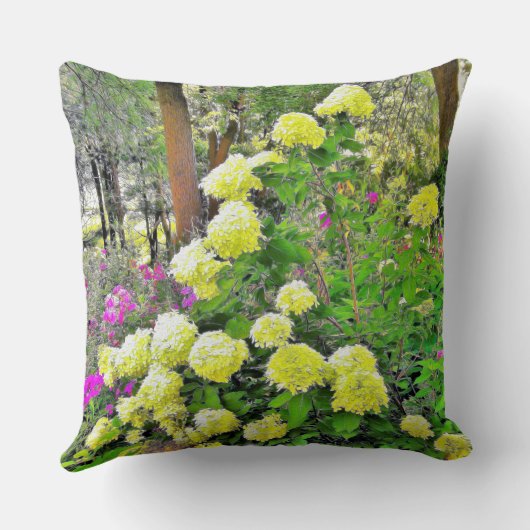 チャートレイズグリーンライムライトアジデンジアガーデン クッション (裏面)