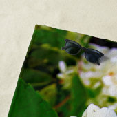 チャートレイズグリーン、ライムライトアジサイ、 ビーチタオル (インサイチュ)