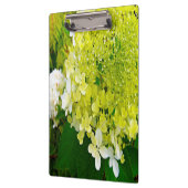 チャートレエレガントーズグリーンライムライトアジサイ クリップボード (左)