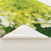 チャートレエレガントーズグリーンライムライトアジサイ シェルパブランケット (3/4)