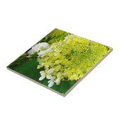 チャートレエレガントーズグリーンライムライトアジサイ タイル (側面)