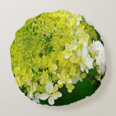 チャートレエレガントーズグリーンライムライトアジサイ ラウンドクッション (裏面)