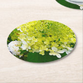 チャートレエレガントーズグリーンライムライトアジサイ ラウンドペーパーコースター (アングル)