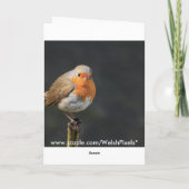 チャーピー・ロビン カード (裏面)