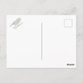 チャープ・リトルフィンチ ポストカード (裏面)