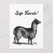 チャーミングなラマのスケッチ, かわいい動物のインク画 ポストカード (正面)