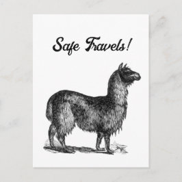チャーミングなラマのスケッチ, かわいい動物のインク画 ポストカード