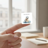 チャーミングな水彩イラストの赤ちゃんアザラシステッカー(オーダーメイド) スクエアシール