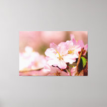 チャーミン さくら フラワーズ オン ピンク、ピンク、ピンク