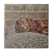 チャーム タイル (正面)