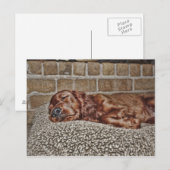 チャーム ポストカード (正面/裏面)