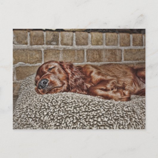 チャーム ポストカード (正面)