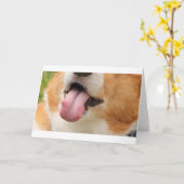 チャーリーキス カード (黄色い花)