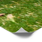 チャーリーキツネテリア遊ーの時間、ポスター ポスター (角)