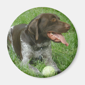 チャーリー磁石 マグネット