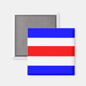 チャーリー赤白青 マグネット (正面/裏面)