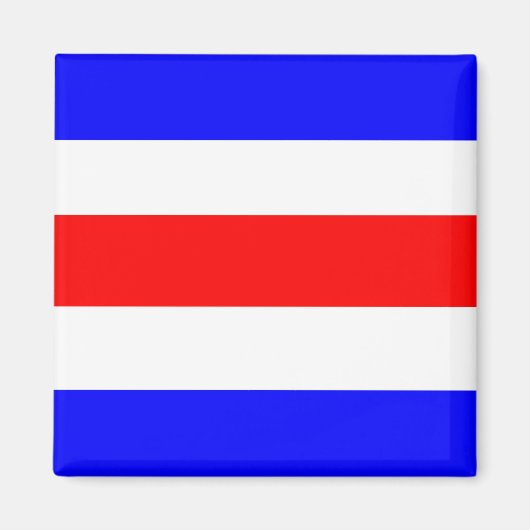 チャーリー赤白青 マグネット (正面)