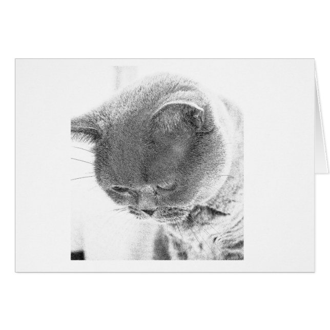 チャーリー: イギリスの青猫の写真からのスケッチ (正面横)