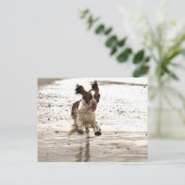 チャーリー・ザ・スプリンガー ポストカード (スタンド正面)