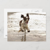 チャーリー・ザ・スプリンガー ポストカード (正面/裏面)