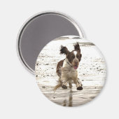 チャーリー・ザ・スプリンガー！ マグネット (正面/裏面)