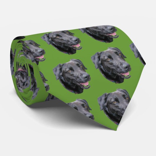 チャーリー ネクタイ (ロール)