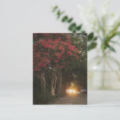 チャールストンクレープマートル ポストカード (スタンド正面)