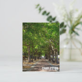 チャールストンサウスカロライナRavenelウォーターフロントパーク ポストカード (スタンド正面)