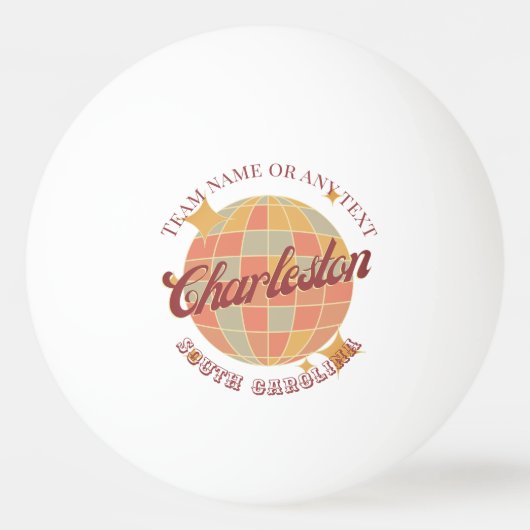 チャールストンシティサウスカロライナUSA卓球 卓球ボール (正面)